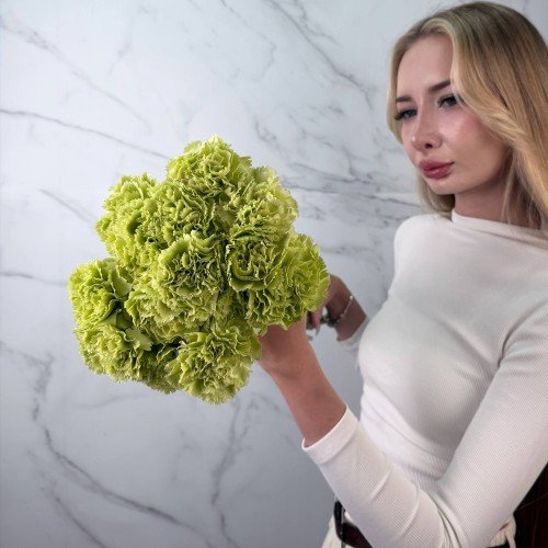 Гвоздика одноголовая Зелёная (Салатовая)