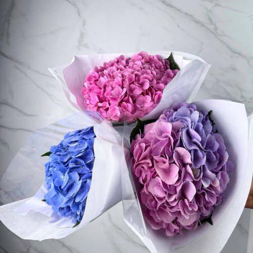 Фото 2