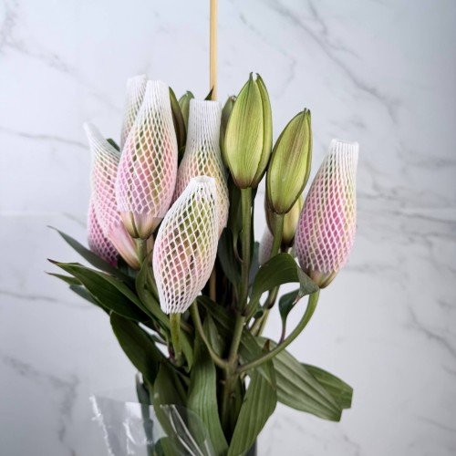 Фото 4