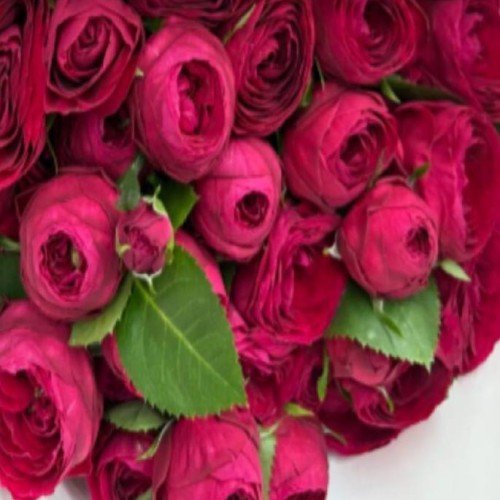 Фото 2