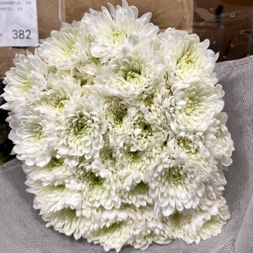 Фото 2