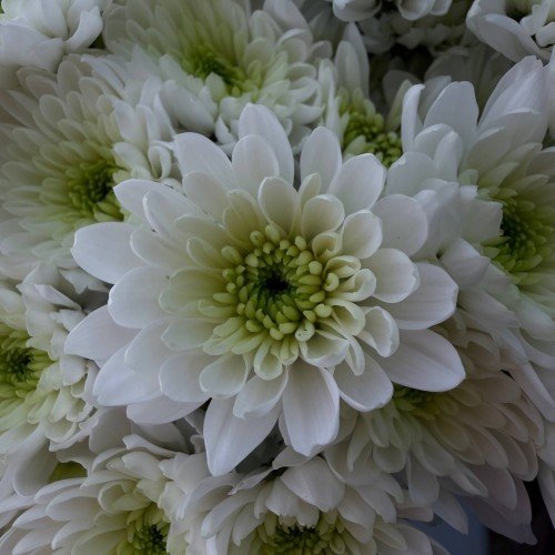 Фото 6