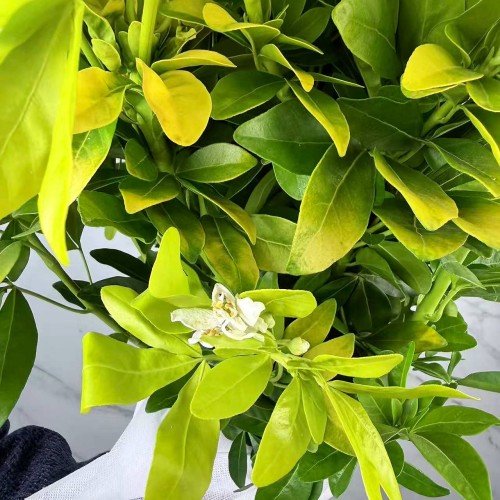 Фото 2