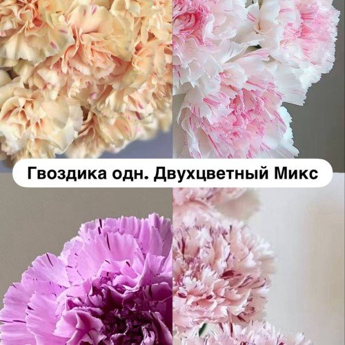 Фото 2