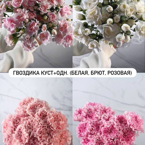 Гвоздика куст+одн (Белая, Брют, Розовая)