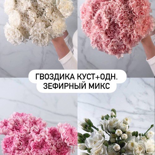 Гвоздика куст+одн Зефирный Микс
